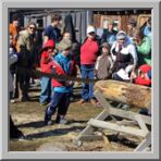 Maple Syrup Festival photo 13 of 16