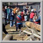 Maple Syrup Festival photo 11 of 16