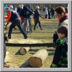 Maple Syrup Festival photo 4 of 16
