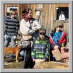 Maple Syrup Festival photo 1 of 16