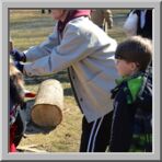 Maple Syrup Festival photo 8 of 16